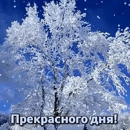 D, ����, 57 ���