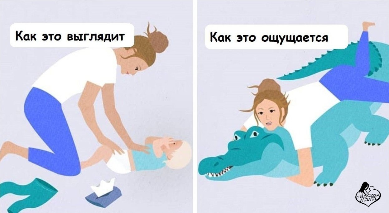 ����� ������� ���������