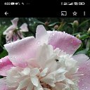 ���� �������, �����������, 44 ���� - ��������� 23 ������� 2024 � ������ ���� ����������