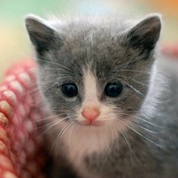 ���� ����, ����������, 28 ��� - ��������� 15 ���� 2024