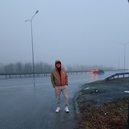 �����, �����-��������, 39 ���