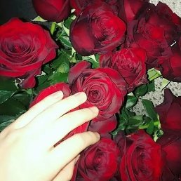 �����, ������, 27 ���