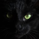 ���� ���������, �����������, 38 ��� - ��������� 8 �������� 2025 � ������ ���� ����������