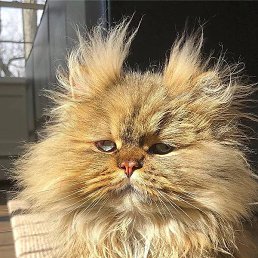 No, ������, 37 ���