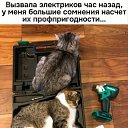 ���� ����, ��������� - ��������� 20 ����� 2026 � ������ ������ ��������