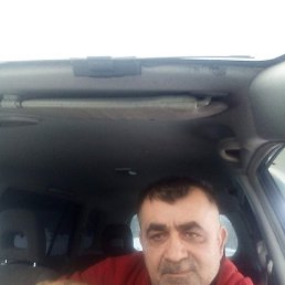 , 57, 