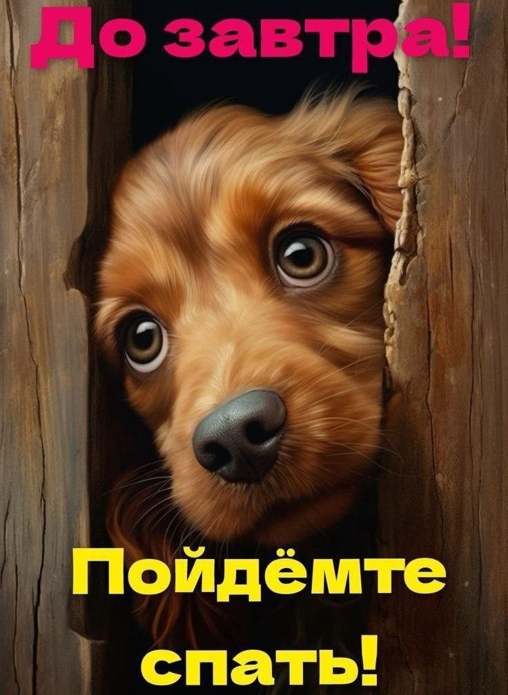   ,    . - 19  2025  21:46 - 2