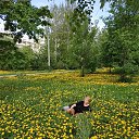 ���� ��������, �����-��������� - ��������� 17 ��� 2024 � ������ ���� ����������