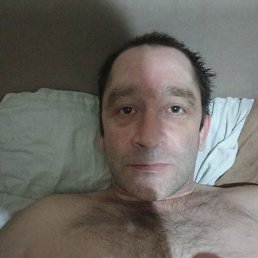 , 41,  