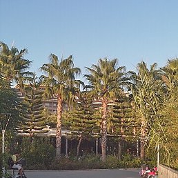 �������, ������, 55 ���