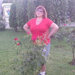 Gita, ������������