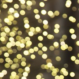 ������, ������, 42 ����