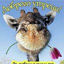 ���� ����, ��������� - ��������� 14 ������� 2026 � ������ ������ ��������