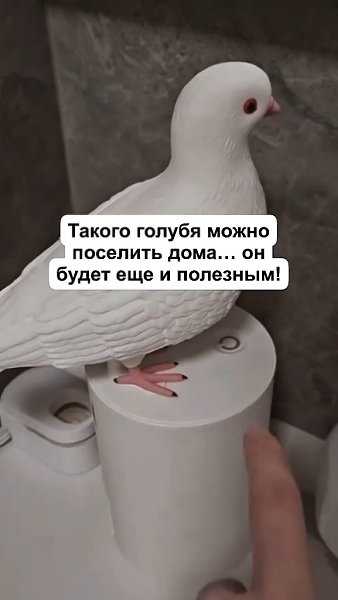 ����� ������� ������� ����