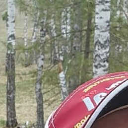 �����, �����������, 46 ���