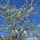 ���� ������� - �� ��������!, �������� - ��������� 6 ��� 2024 � ������ ������ ��������