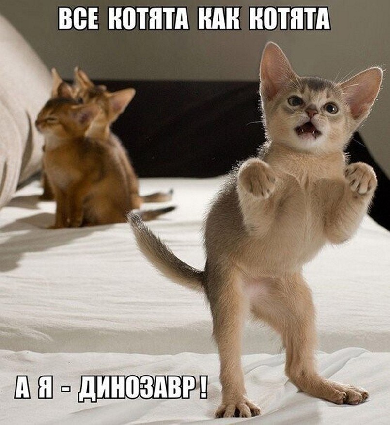 �����? ��, �� �������! - 9 ���� 2025 � 22:21