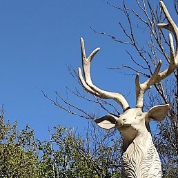 ������, �����, 47 ���