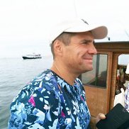 , 53 , 