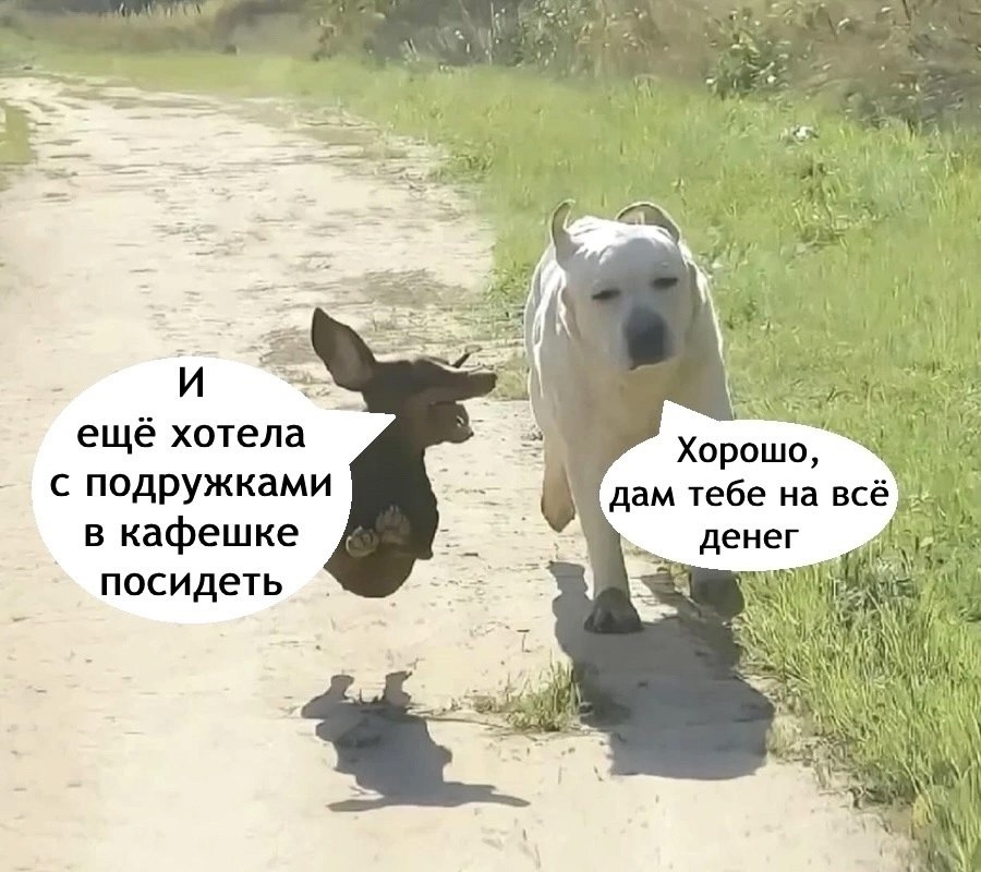 Мужики поймут. Мы на все готовы для наших любимых девочек! - 5