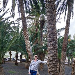 ��������, �����������, 57 ���