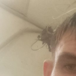 ������, ������, 28 ���