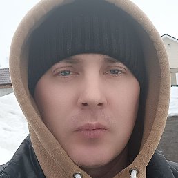 �����, �������, 41 ���