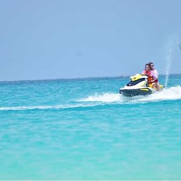 Olijaa, ������, 53 ����