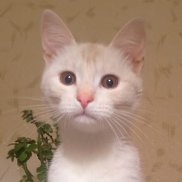 Слава, 40 лет, Нижний Новгород Слава, 40 лет, Нижний Новгород