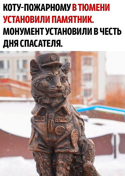 ��� ��� ������ ������!