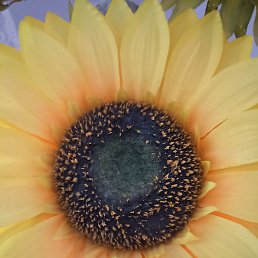 �����, ����, 48 ���