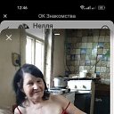 ���� �����, ������, 63 ���� - ��������� 14 ������ 2026 � ������ ���� ����������