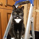 ���� ���������, ���������, 67 ��� - ��������� 6 ��� 2024 � ������ ���� ����������