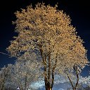 21.01.2026 �� ������� ���� ����������