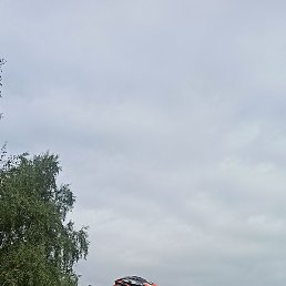 �����, ���������, 46 ���