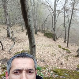 , 38, 