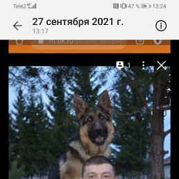 ���� �������, �������������, 47 ��� - ��������� 24 ������� 2023