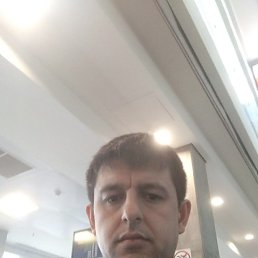 ���� ������, �����-���������, 32 ���� - ��������� 12 ������� 2024