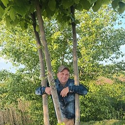 ����, 52 ����, ����