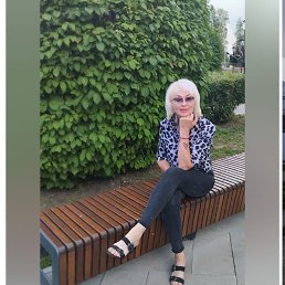 ���� �����, ���������, 56 ��� - ��������� 15 ��� 2025