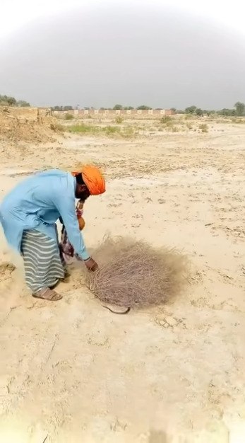 ��������, � �� ����� ��� ���������, ������ ���������) - 2