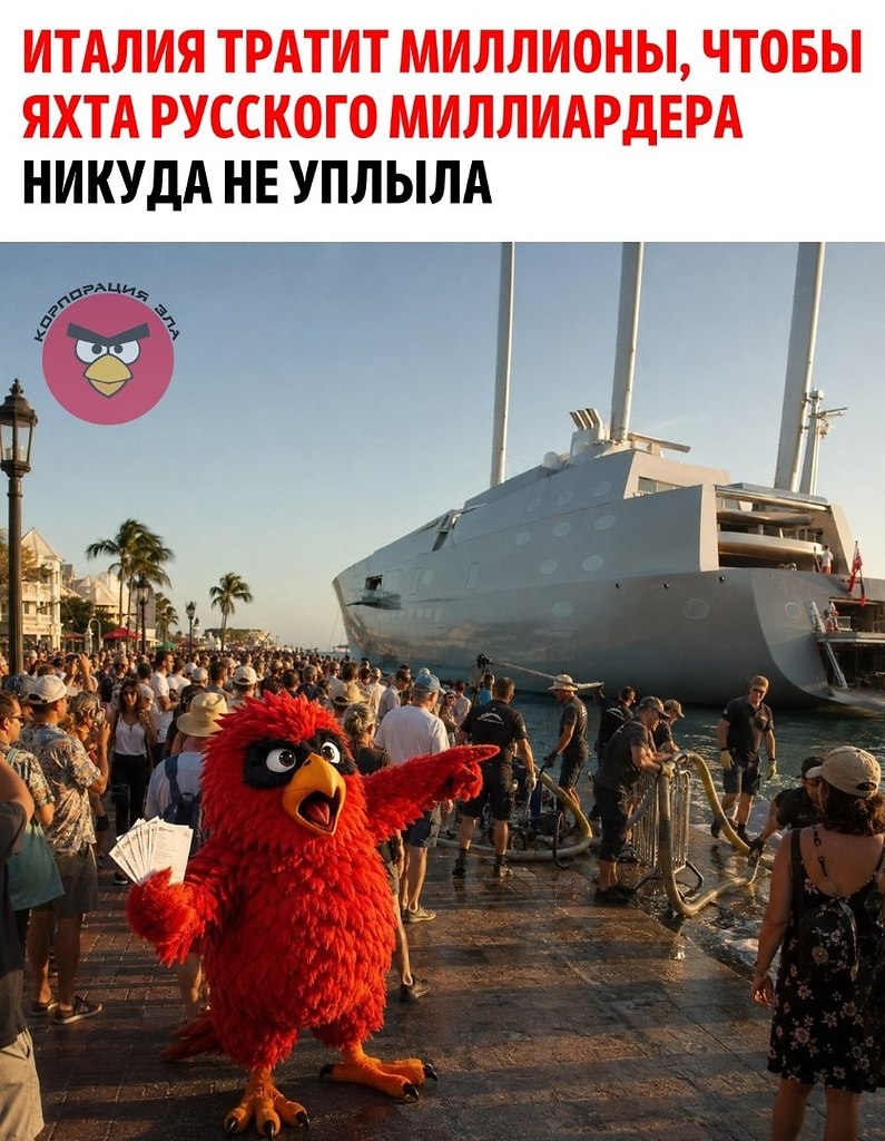 ������ ������ �������� �� ������ ������������ ���� ����������� ����������� ������ �����������. ...