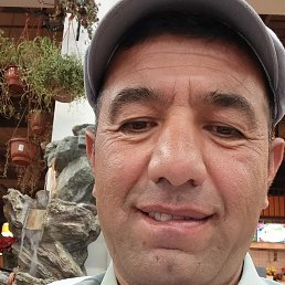 ����� ����������, ������, 43 ����