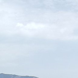 �������� ����������, ������, 50 ���