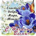 ���� ��������, �������, 40 ��� - ��������� 5 ����� 2026 � ������ ���� ����������