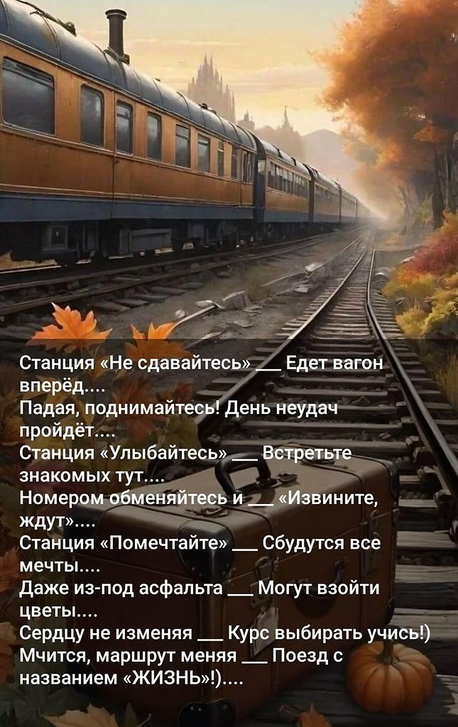   - 12  2025  14:38