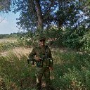 ���� �������, ������, 42 ���� - ��������� 14 ������� 2024 � ������ ���� ����������