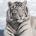 ���� ������, ������, 39 ��� - ��������� 31 ������� 2023 � ������ ���� ����������