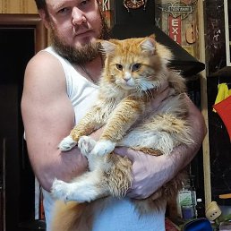 �������, 37 ���, �����-���������