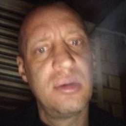 �������, �������, 41 ���